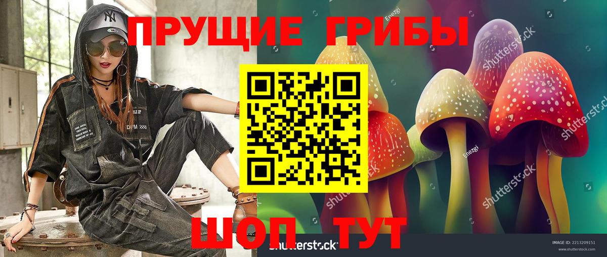 Ахтубинск  Галлюциногенные грибы Cubensis  Вход с VPN  Галлюциногенные грибы Magic Shrooms 